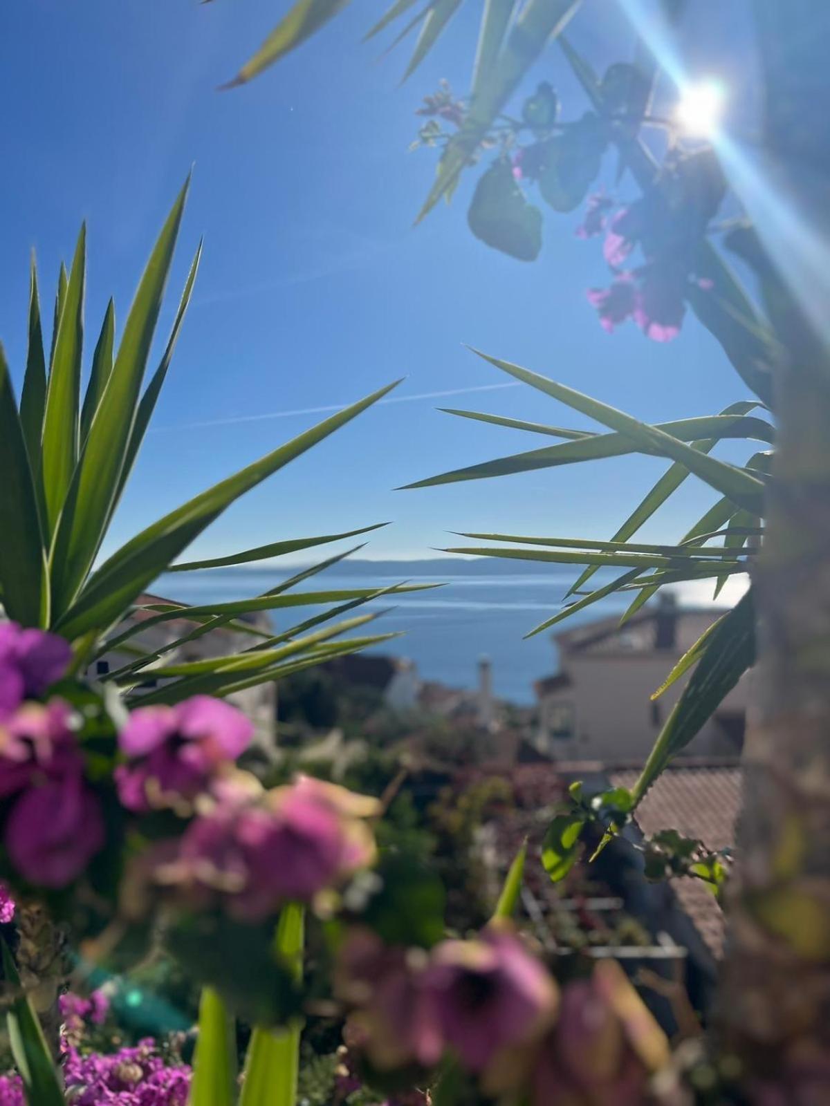 Trogir Ciovo Big Seaview Apartment Near The Sea المظهر الخارجي الصورة
